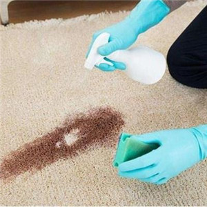  Carpet cleaning reputation