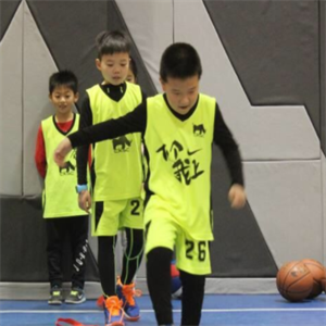 幼儿篮球培训机构品牌