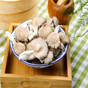 菌菇种植品质