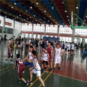  Children's Basketball Gymnasium