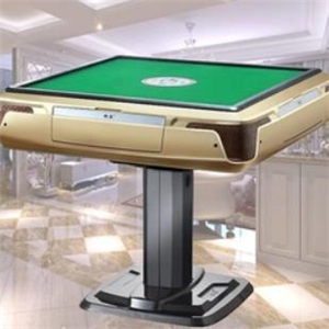  Automatic Mahjong Hall