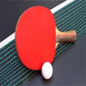 乒乓球培训机构品牌
