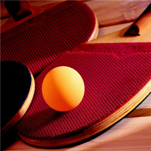 乒乓球培训机构
