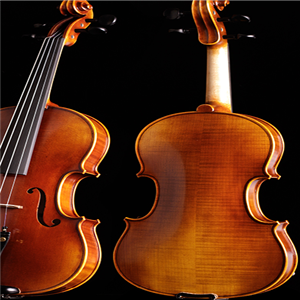 小提琴培训机构