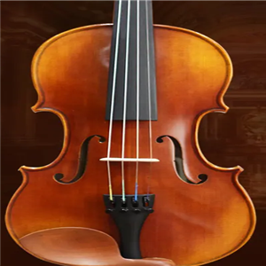 小提琴培训机构