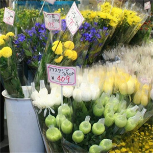鲜花花店品质