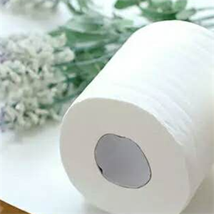 卫生纸厂品质