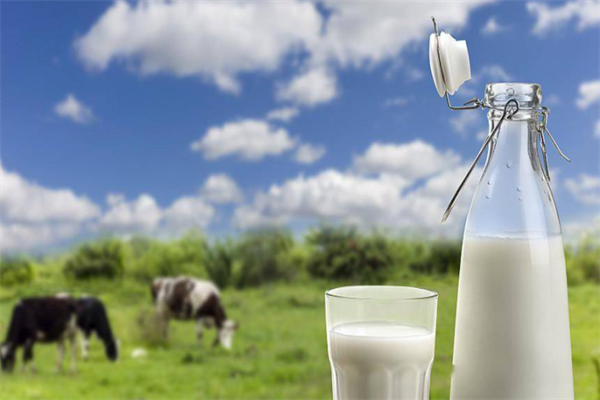 新疆牛奶展示