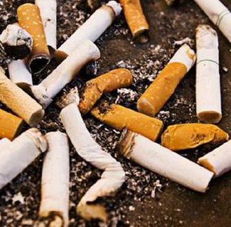  Safety of cigarette end recycling project