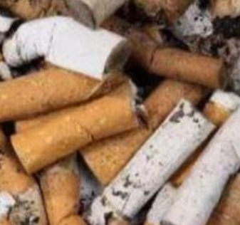  The cigarette end recycling project is stable