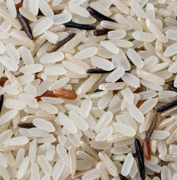 水稻种植实惠