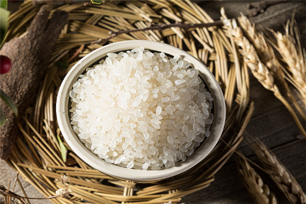 水稻种植负责