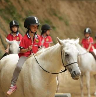 兒童騎馬場安全