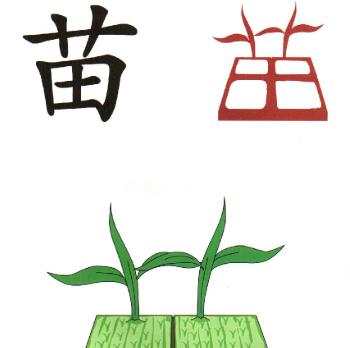 學(xué)前班識字負(fù)責(zé)