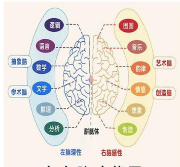 兒童腦力開發(fā)效果好