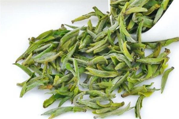 種植茶葉負(fù)責(zé)