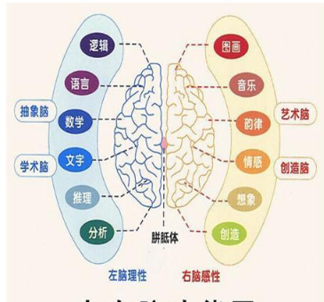 思維導圖課程專業(yè)