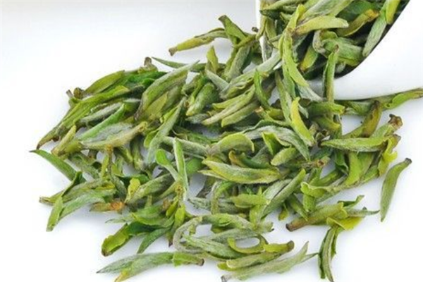 品牌茶葉店美味
