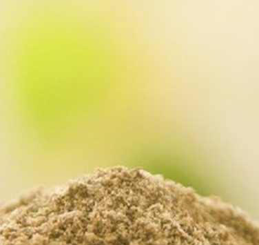 飼料加工廠專業(yè)