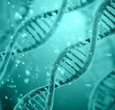 生物基因安全