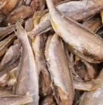風(fēng)干魚干凈