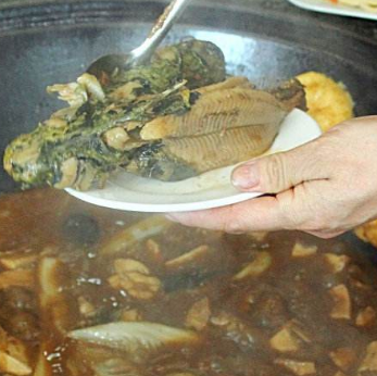 鍋臺(tái)魚(yú)健康