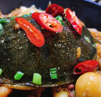 鹵甲魚健康