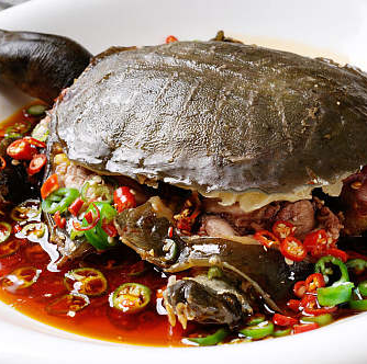 鹵甲魚好吃