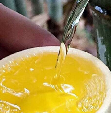 養(yǎng)生酒業(yè)高端