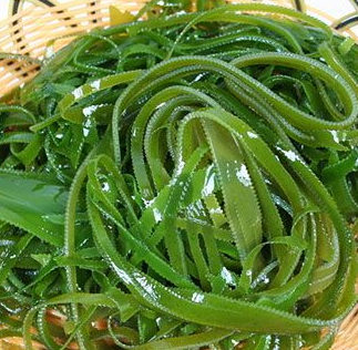 海帶菜無添加