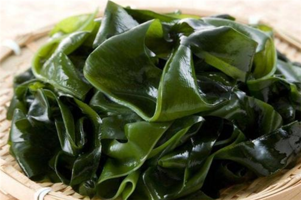 海帶菜營養(yǎng)