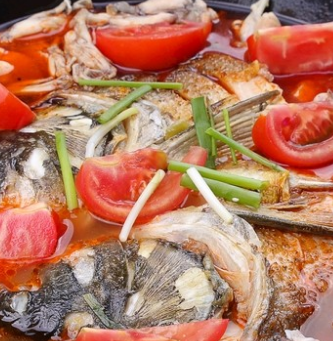 魚蛙館實(shí)惠