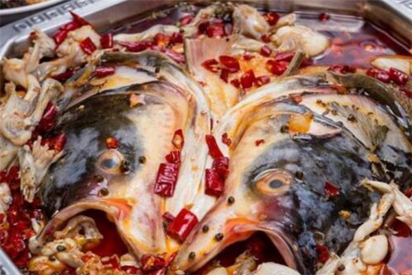 魚蛙館營養(yǎng)