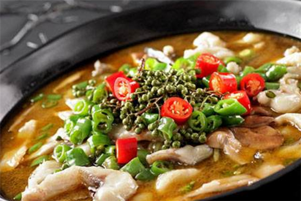 麻麻魚營養(yǎng)