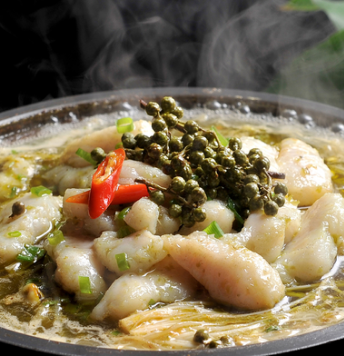 麻麻魚安全