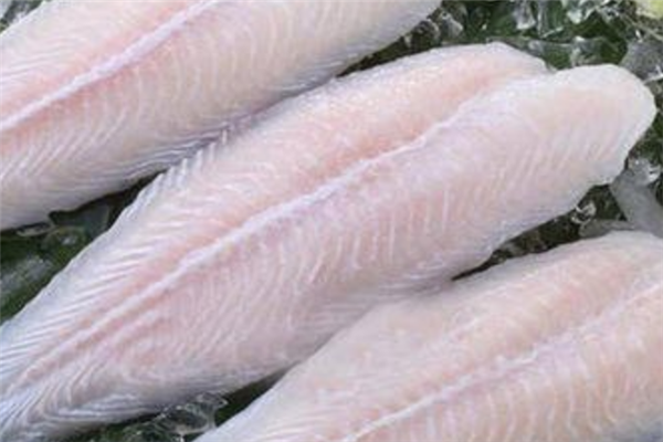無刺魚營養(yǎng)