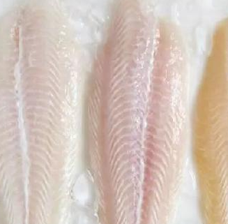 無刺魚新鮮