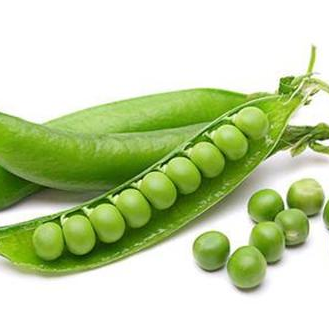 生態(tài)菜健康