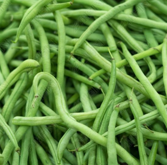 生態(tài)菜干凈