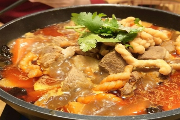 羊狗煲營養(yǎng)