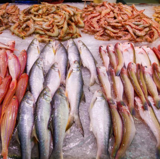 漁業(yè)食品