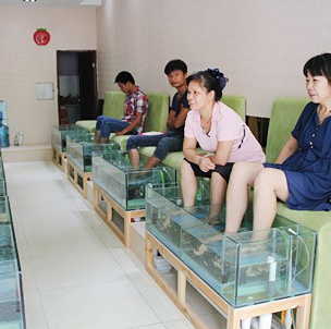 魚療養(yǎng)生專業(yè)