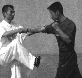 詠春拳師資雄厚