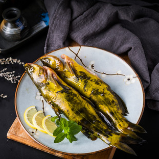 黃骨魚(yú)健康
