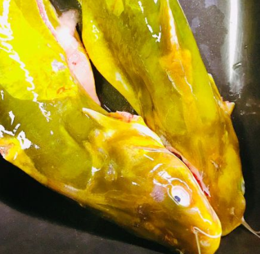 黃骨魚(yú)鮮美