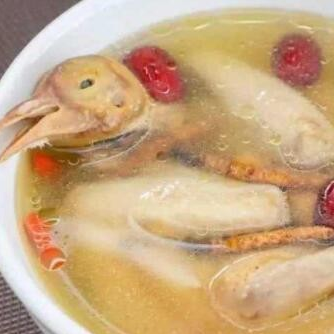 鴿子湯