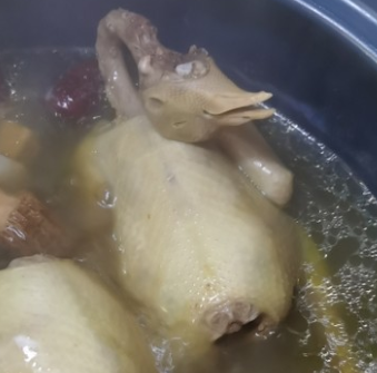 鴿子湯好吃