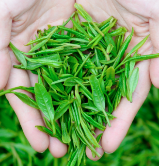 茶品牌高端