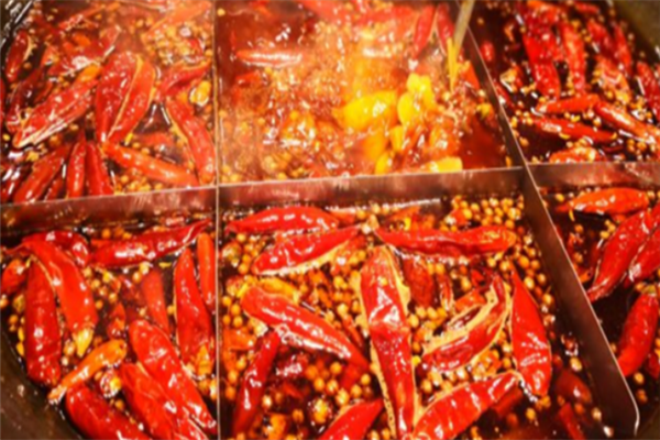 品牌火鍋連鎖營(yíng)養(yǎng)