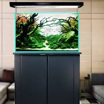 生態(tài)魚缸廠家